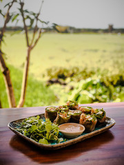 healthy vegan spring rolls with mango, avocado, tofu, mushroom, roots, local herbs, peanut butter sauce and green salad on a plate on table with tree and rice field in the background