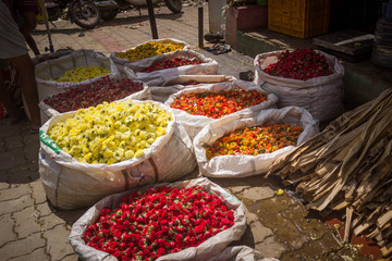 flowers in the market