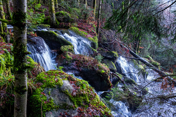 Peoples have a hiking, trekking, in a Black Forest, Germany, trough waterfall and trees