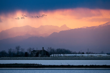 laguna veneta © gianluca