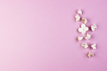 Fototapeta na wymiar small white flowers on a purple background