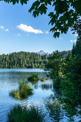 Fototapeta premium Mountainview at Geroldsee