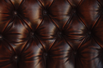 carriage screed on a leather sofa, cognac-colored leather