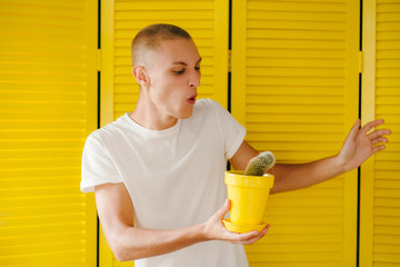 Funny emotional teenager pressing his finger on a mini cactus on yellow background