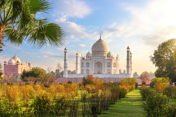 Beautiful Taj Mahal in the garden, India, Agra