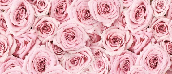 Foto op Aluminium Achtergrondafbeelding van roze rozen. Bovenaanzicht van roze bloemen. Studio-opname van bloemen. © Tatyana Sidyukova