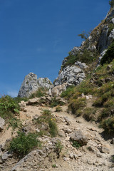 rock in the mountains