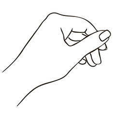 Illustration a hand line art isolated on white background