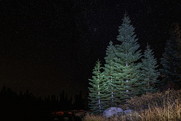 A view of the stars with pine trees forest silhouette in the foreground. Night shooting in the...