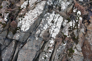 Iceland. Detail of the rocks of the east coast