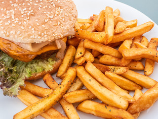 sandwich dish with hamburger, french fries and cheddar