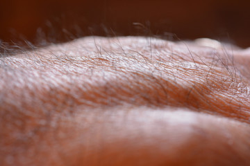 Man hand with hair detail in the foreground