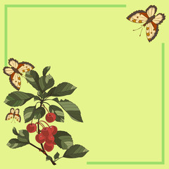 vector frame for greeting with a cherry and a butterfly