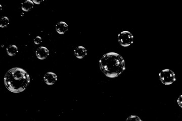 Flying soap bubbles isolated on a black background. Abstract background.