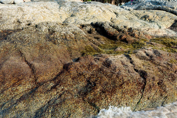 colorful stone with shells at beach