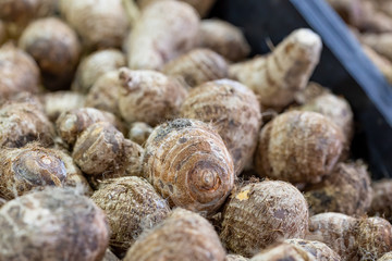 Pile of raw, unpeeled tropical Taro corms, Colocasia esculenta, on a UK market stall