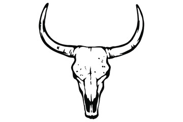 Vector hand drawn illustration animal skull. Cow. Good for posters, postcards, print for t-shirt, tattoo.