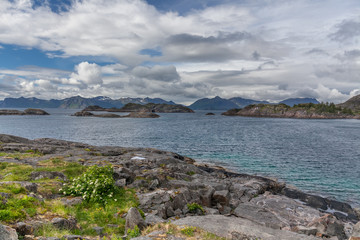 Lofoten Summer Landscape Lofoten is an archipelago in the county of Nordland, Norway. Is known for a distinctive scenery with dramatic mountains and peaks. selective focus