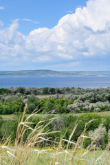 Fototapeta na wymiar Landscape with a view of the Volga in the Saratov region. Powerful pre-thunderclouds above the lush green vegetation of the river floodplain.