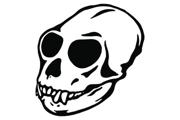 Vector hand drawn illustration animal skull. Monkey. Good for posters, postcards, print for t-shirt, tattoo.