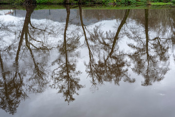 reflejo