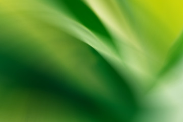 Blurred abstract gradient wave natural green, yellow background