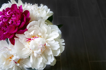 Lush white and one purple peony on a dark gray wooden floor background. Beautiful tender bouquet as a gift on a happy holiday. Selective focus.Top view with copy space