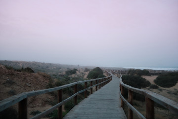 Obraz premium wooden walkway towards the beach shore on a foggy day