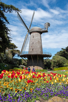 Windmill and tulips in bloom, Social Distancing, Queen Wilhelmina Garden, San Francisco, CA, March 22, 2020