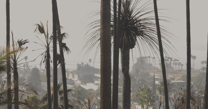 Aftermath of Thomas Fire in Ventura California December 2017.