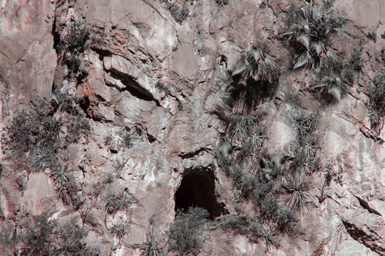 Demonio de roca