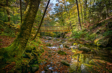Bridge Over a Catskill Mountain Creek in Autumn - 332722660