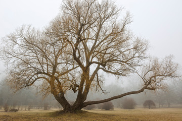 Spokane Arboretum Landscapes