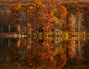 Autumn Trees Reflection on a New York Lake - 332722698