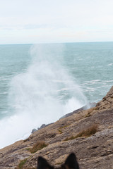 Fototapeta premium Ajo, Rompe Olas, Mar, Ocean