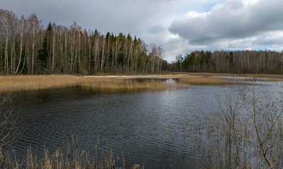 view of small lake in early spring, sunlight shining on trees