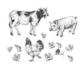Cute farm animals on farmyard set
