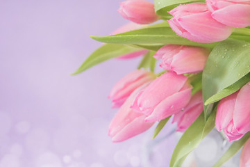 Spring background with tulips. Card for Mothers day, 8 March, Easter