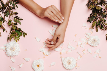 Woman's hands and white flowers and green branches, petals on the pink background.
