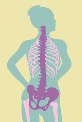 Backache pain, spine in back view, 3D medically illustration