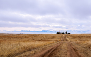 Beautiful Colorado landscape with a meadow, road, farm house, and famous Pikes Peak in the distance