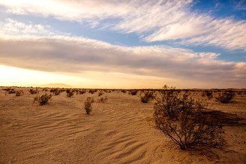 Fototapeta na wymiar California Desert