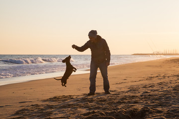 Man playing with sausage dog on mediterranean beach with beautiful autumn sunlight