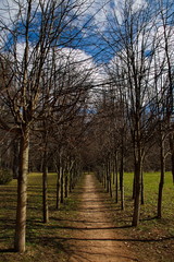 Alley in an abandoned spring park.