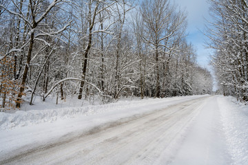 winter dirt road