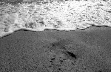 Sea wave and sandy beach in black and white.