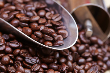 coffee beans on the spoon