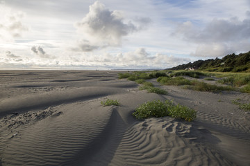 Washington West Coast Seascapes