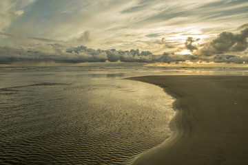 Washington West Coast Seascapes