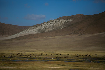 Dry landscapes in Cordillera Real, Andes, Bolivia